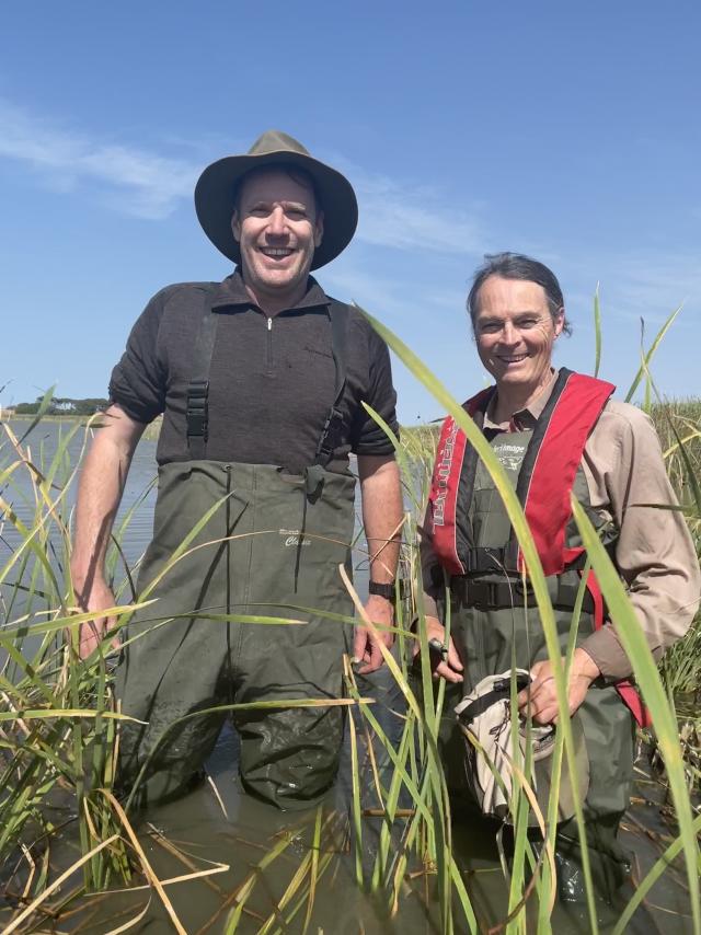 Climate Change And Blue Green Algae 