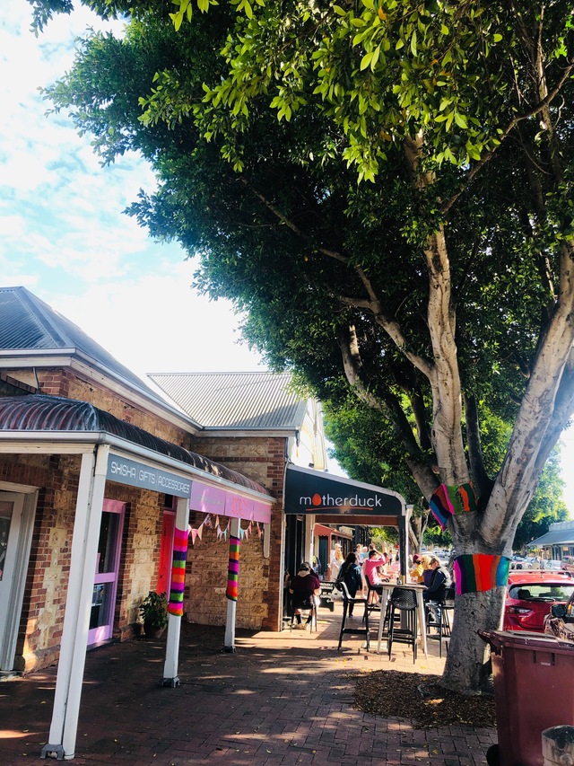 The importance of street trees The Victor Harbor Times