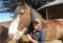 Jay Jay’s final journey