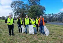 Tyres to teddy bears collected in roadside clean-up