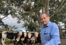 ‘Good’ outlook for hobby farms