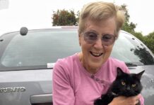 Free cat desexing would cure feral cat problem, local volunteers say