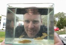 More fishes grant ecologists’ wishes