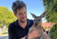 Roo spike for Fleurieu