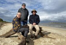 Grants plant seeds for coastline care