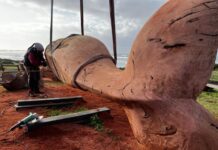 Mel’s sculpture dream breaches to a close