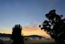 Vote for favourite ag towns