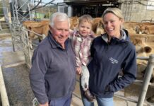 Calling all young dairy farmers