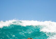 Call for donations to chase world title dream