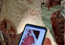 New AI-enabled video tech a game changer