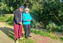 ‘Meteorite’ is a gift from the heavens