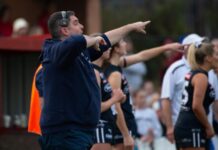 Watts a good get for South