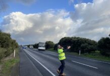 Bus bog near Middleton