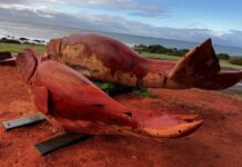 Buttons and Bobby on show