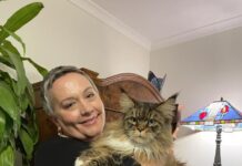 Beloved cat finds her way home