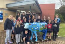 Little picassos win sustainability award