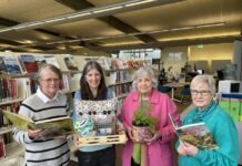 Books, books and more books