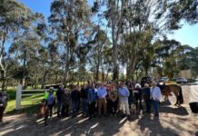 Hahndorf divert comes to crashing halt