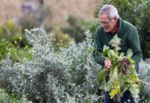 Consultation on Biodiversity Bill