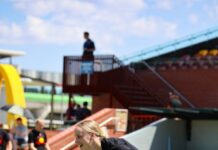 Levy lines up for AFLW debut