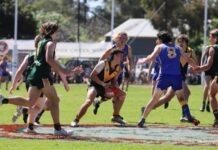 Senior colts grand final