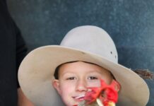 143rd Port Elliot Show