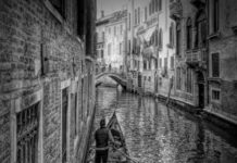 South Coast Camera Club dominates shows