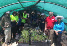 Nominate for Landcare awards