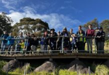 Flinders on the lookout for Penguin Cencus volunteers