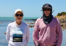 Protecting the Bluff