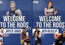 Gibbs and Heaslip hop to Victor