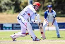 Great Southern Cricket