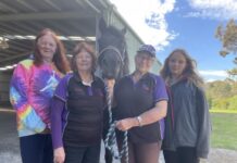 Hay, have you got any?