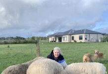 Is the Fleurieu increasingly uninsurable?