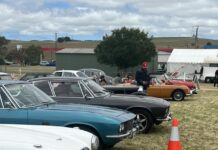 Revved up for classic car show