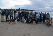 Keeping dogs on a leash