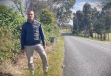 Roadside weeds in the firing line