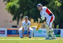 Bulls bullied by Overall dominance