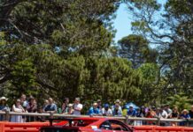 Strathalbyn rally stage