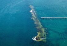 Explore parks over summer