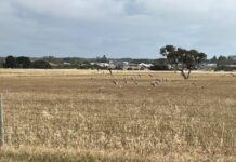 Growth is inevitable