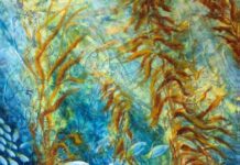 Prize winning artist