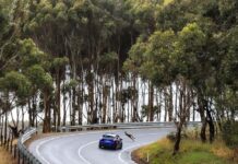 Roo-dimental racing at Willunga
