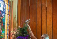 All types of trees on show