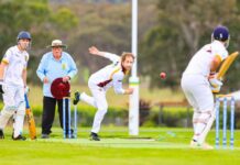 Blood’s clip Eagle wings