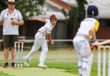 Great Southern cricket action
