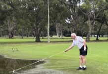 Lily is making a difference