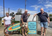 Road safety on the brain