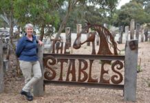 Capture the stables experience