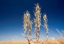 Sam has passion for art